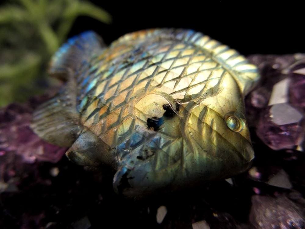ディスカス 置物 ラブラドライト 熱帯魚の王様 彫刻