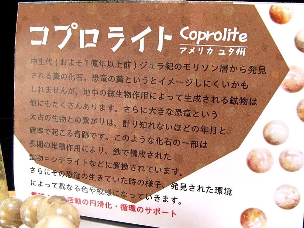 コプロライト ブレスレット 化石 天然石 恐竜