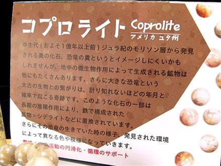 コプロライト ブレスレット 化石 天然石 恐竜