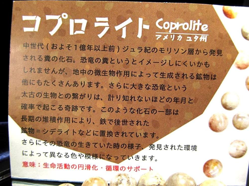 コプロライト ブレスレット 化石 天然石 恐竜