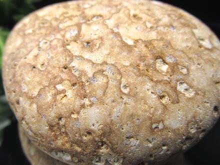 原石 日本の石 パワーストーン 天然石 国産