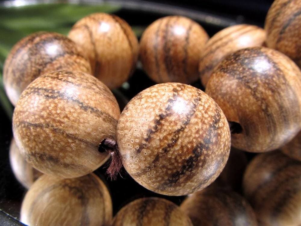 WORLDPOWERSWOOD 世界銘木協会 正規販売店 パワーズウッド 天然木