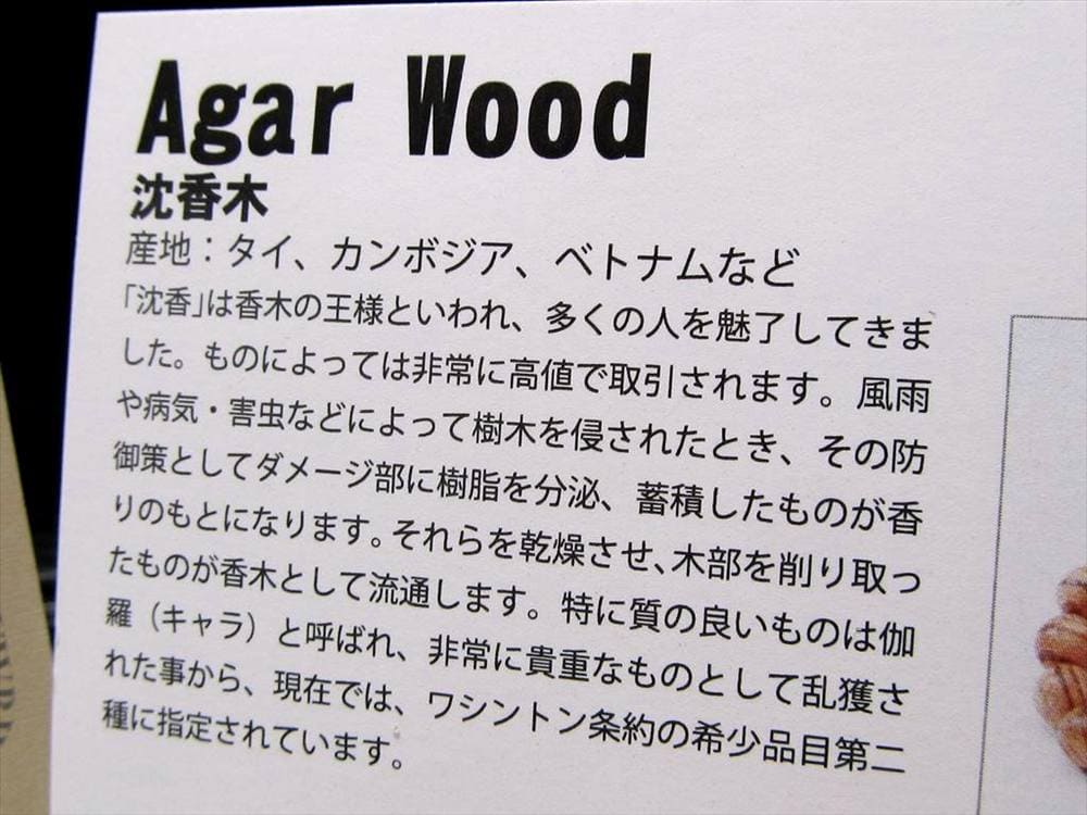 WORLDPOWERSWOOD 世界銘木協会 正規販売店 パワーズウッド 天然木