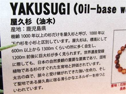 屋久島 油木 香木 ブレスレット 天然香木 証明書付
