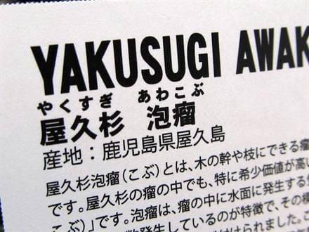 屋久杉 泡瘤 あわこぶ 香木 ブレスレット 天然香木 証明書付 一点物