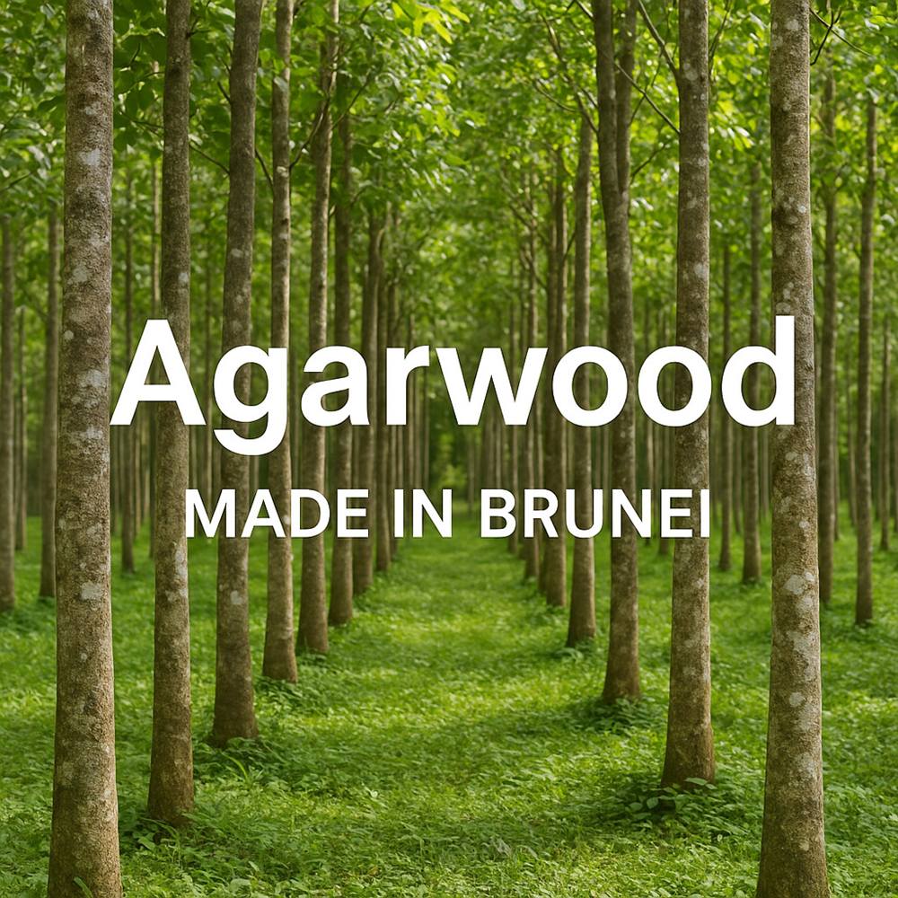 沈香 アガーウッド ブレスレット 香木 魔除け