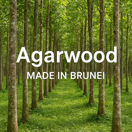 沈香 アガーウッド ブレスレット 香木 魔除け