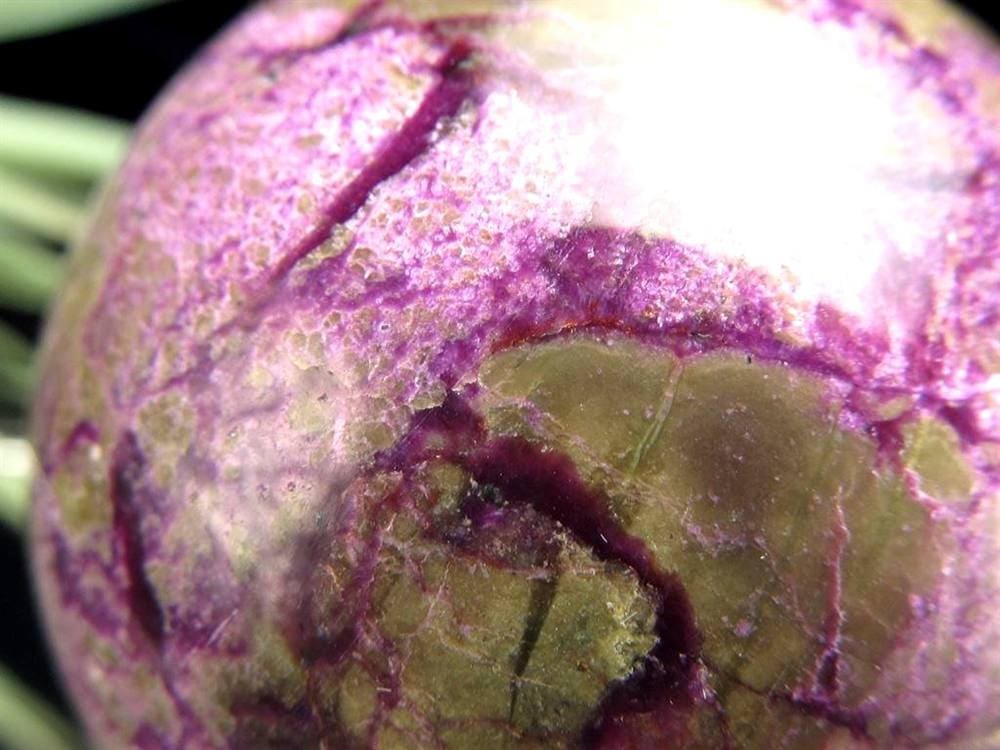 アトランティサイト スティヒタイト サーペンティン スフィア 丸玉