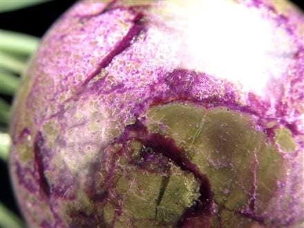 アトランティサイト スティヒタイト サーペンティン スフィア 丸玉