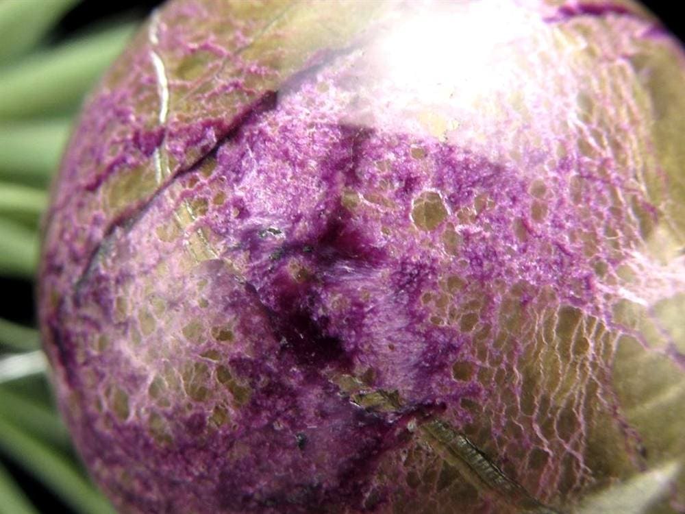 アトランティサイト スティヒタイト サーペンティン スフィア 丸玉