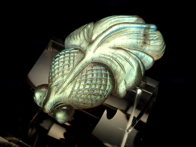 ラブラドライト金魚