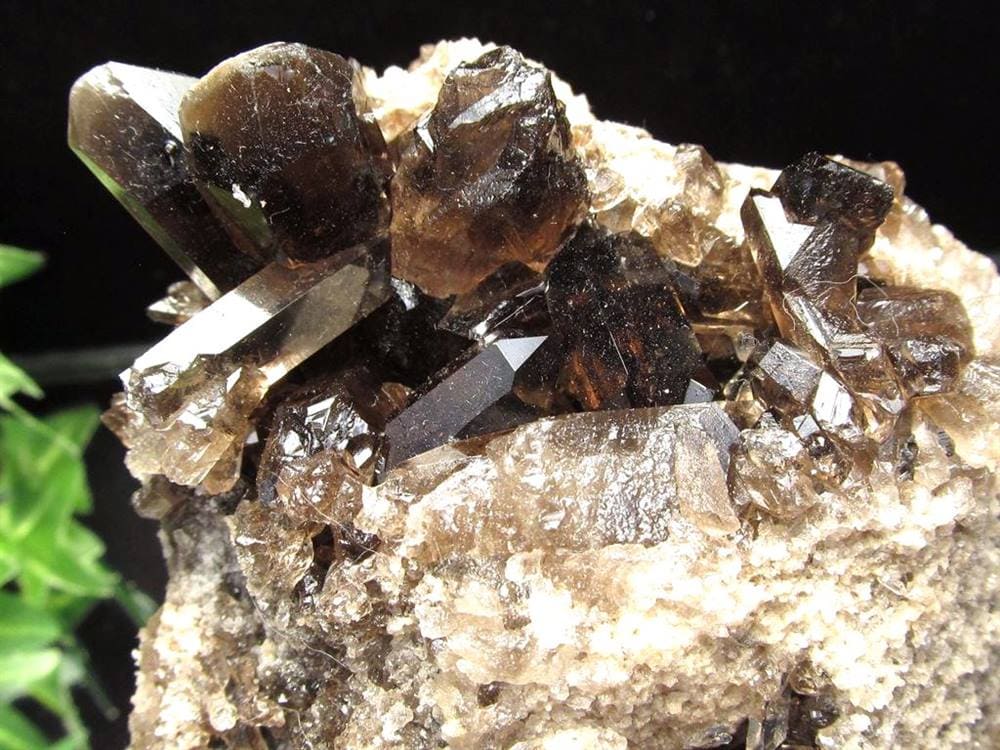 モリオン 黒水晶 クラスター 黒水晶クラスター ブラジル産