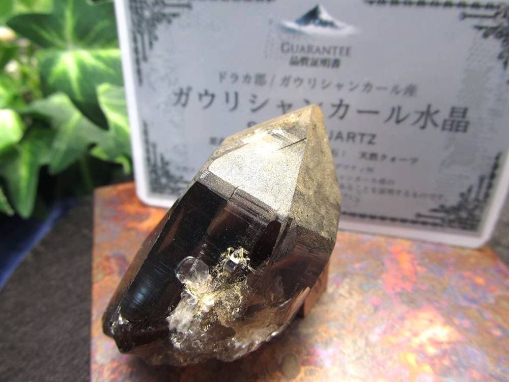 ヒマラヤ スモーキー クォーツ ガウリシャンカール 原石 ポイント