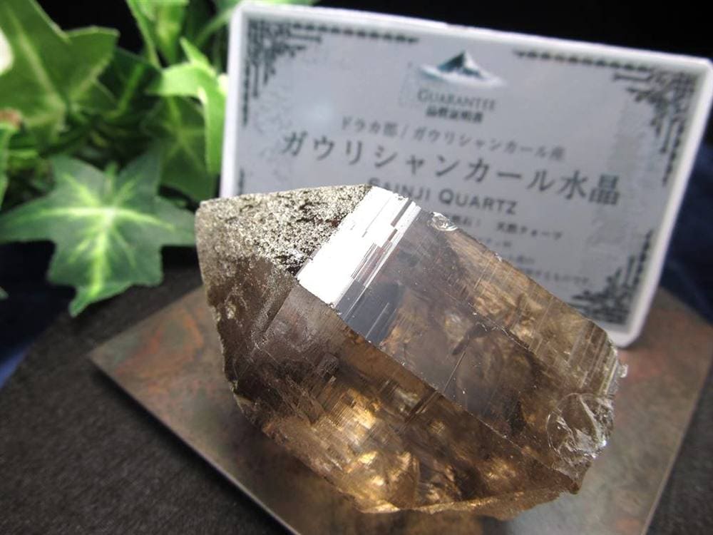 ヒマラヤ スモーキー クォーツ ガウリシャンカール 原石 ポイント