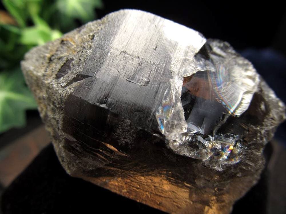 ヒマラヤ スモーキー クォーツ ガウリシャンカール 原石 ポイント