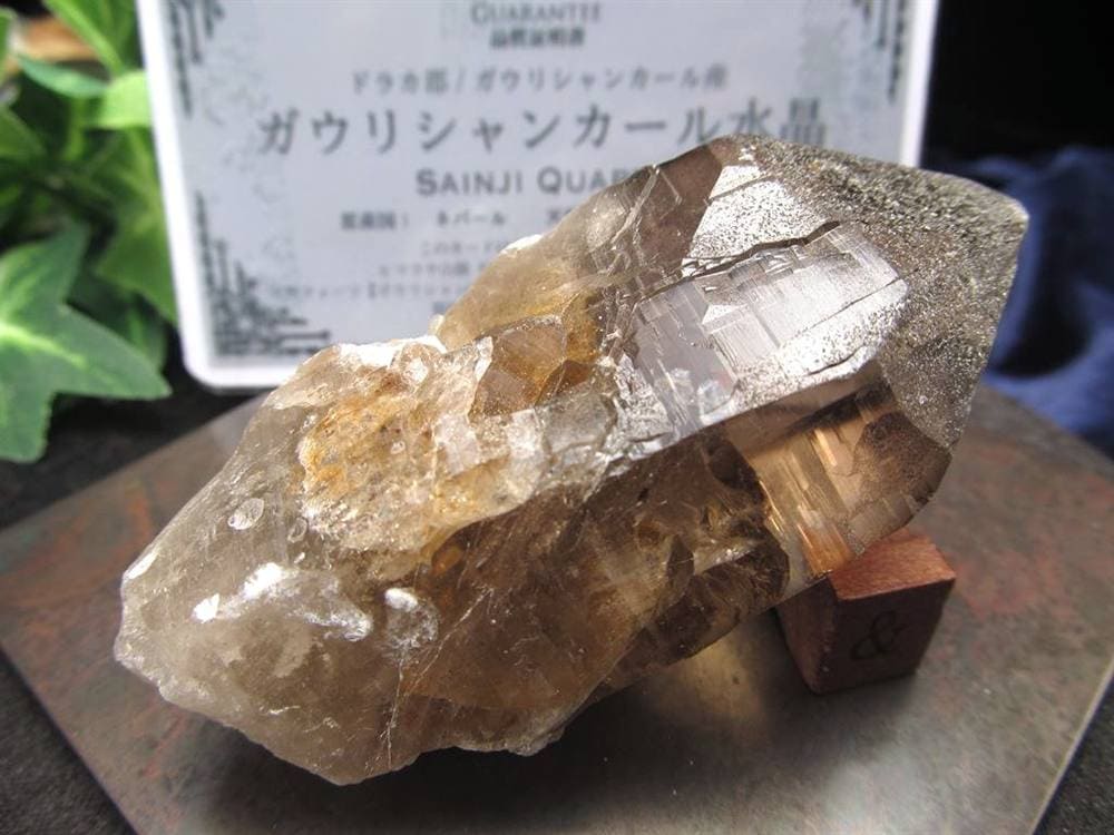 ヒマラヤ スモーキー クォーツ ガウリシャンカール 原石 ポイント
