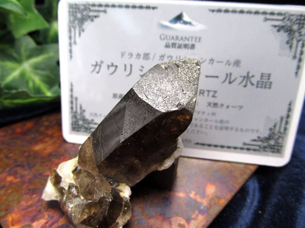 ヒマラヤ スモーキー クォーツ ガウリシャンカール 原石 ポイント