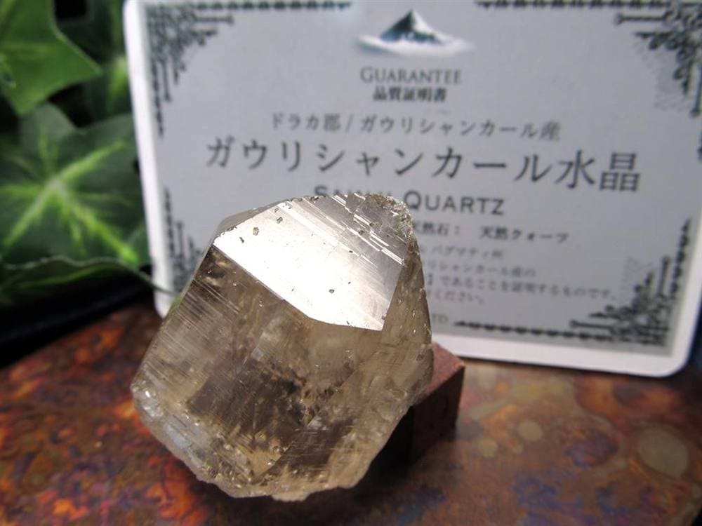 ヒマラヤ スモーキー クォーツ ガウリシャンカール 原石 ポイント