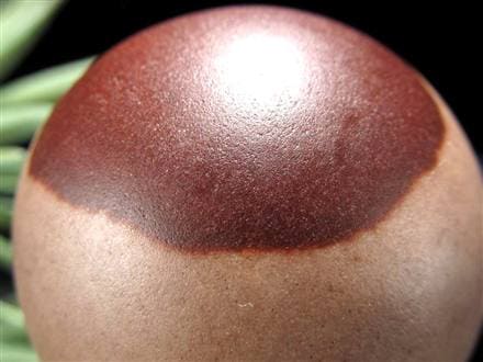 シバリンガム シヴァリンガム クリプトクリスタリンクォーツ 子宝 ヒンズー教