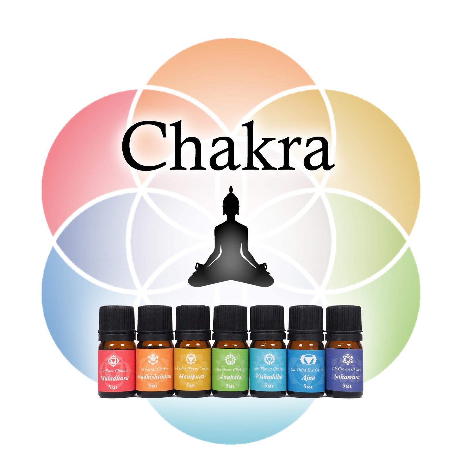 チャクラ バランシング エッセンス Chakra Balancing Essence チャクラに応じた7種のブレンドエッセンシャルオイル 100 Natural 天然精油 Made In Japan アロマオイル 5ml入り 7種類 航空便不可