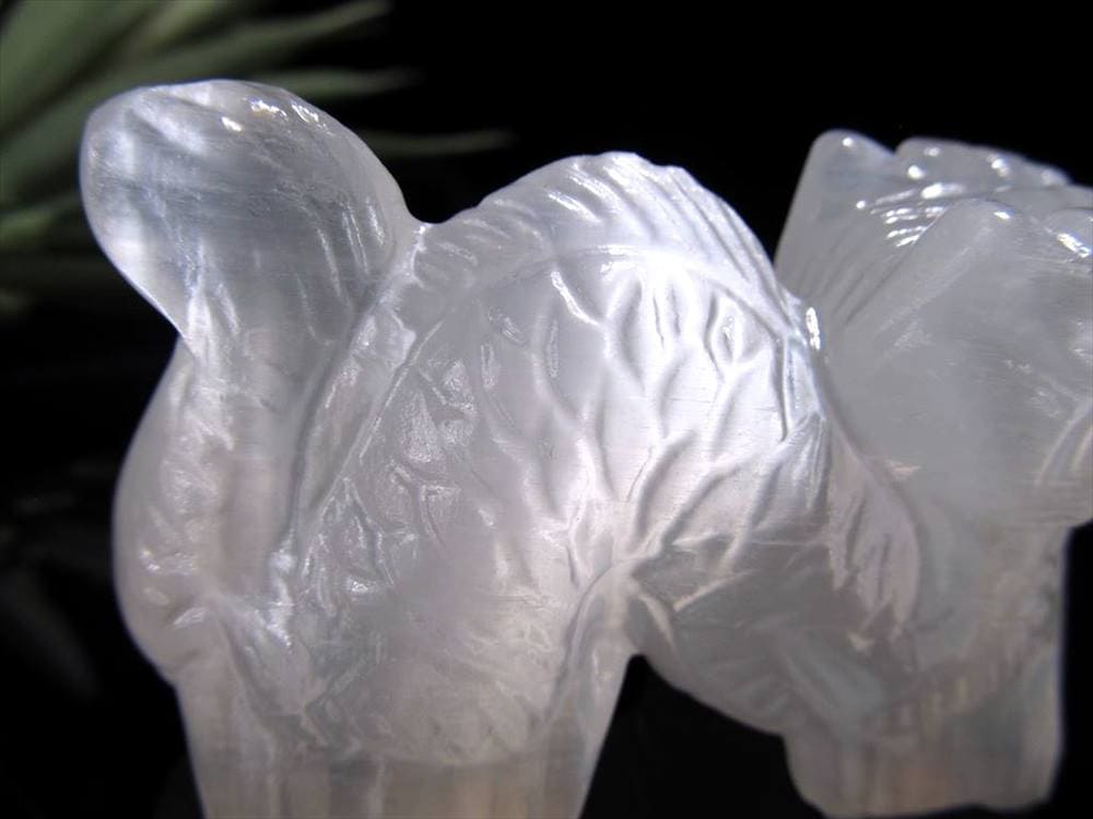 セレナイト 彫刻 置物 辰年 龍