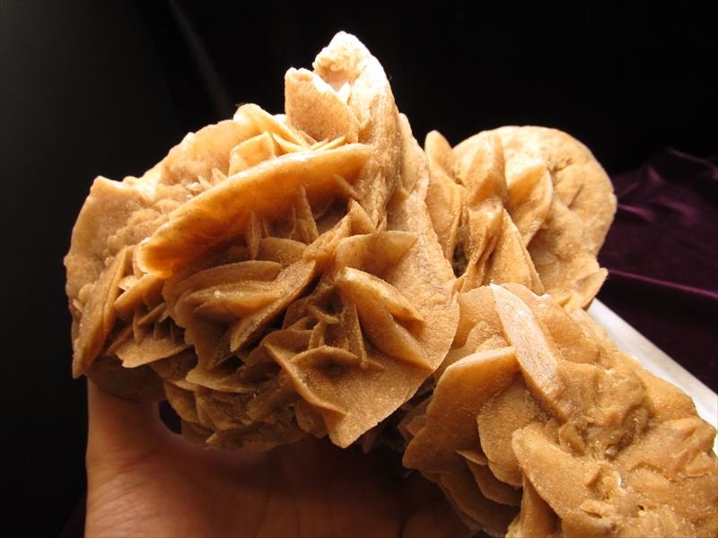 デザートローズ