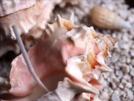 アロマキャンドル ロウソク 蝋燭 ソイワックス 大豆ワックス