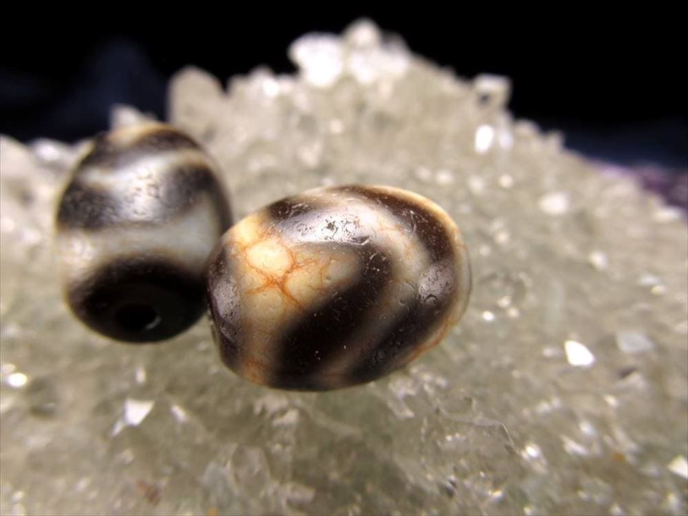 至純 朱砂 馬蹄痕 小天珠 水紋虎牙天珠