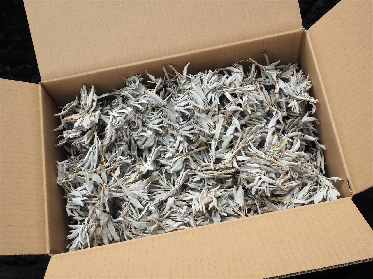 登場! 特選再入荷 無農薬カリフォルニア産❤️ savingssafari.com