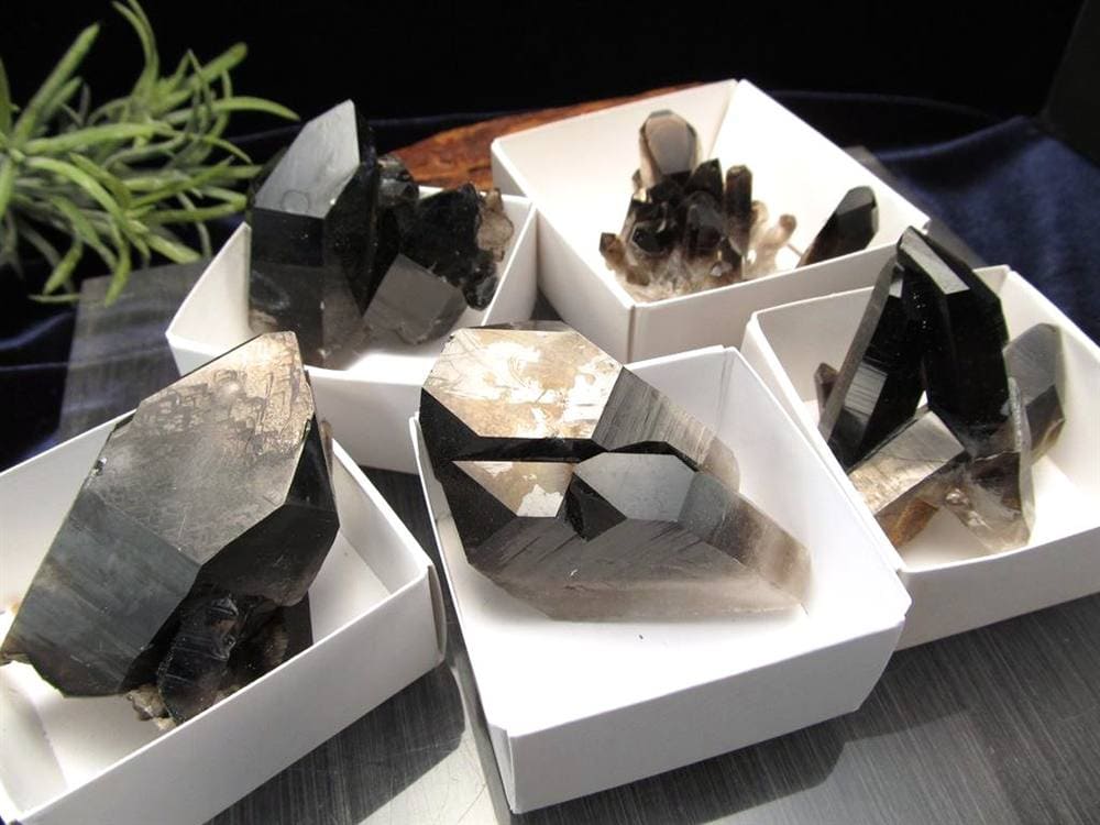 モリオン 黒水晶 アーカンソー州産 原石 黒水晶クラスター