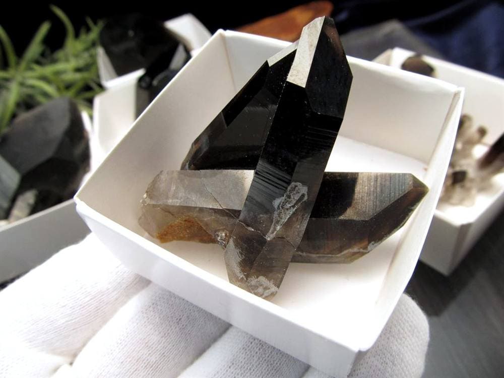 モリオン 黒水晶 アーカンソー州産 原石 黒水晶クラスター