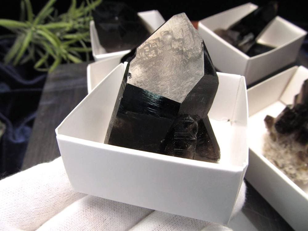 モリオン 黒水晶 アーカンソー州産 原石 黒水晶クラスター