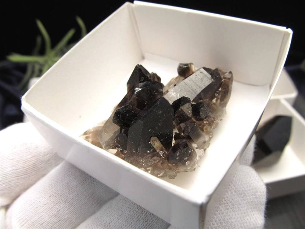 モリオン 黒水晶 アーカンソー州産 原石 黒水晶クラスター