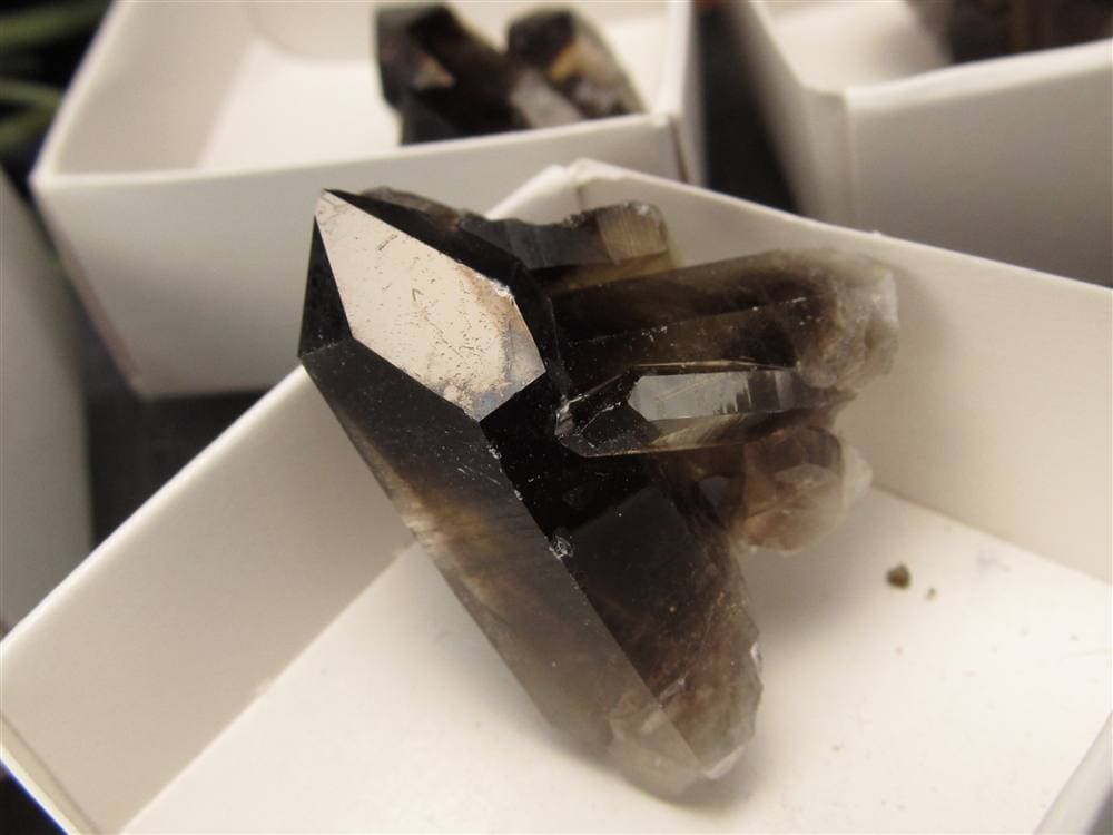 モリオン 黒水晶 アーカンソー州産 原石 黒水晶クラスター