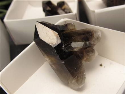モリオン 黒水晶 アーカンソー州産 原石 黒水晶クラスター
