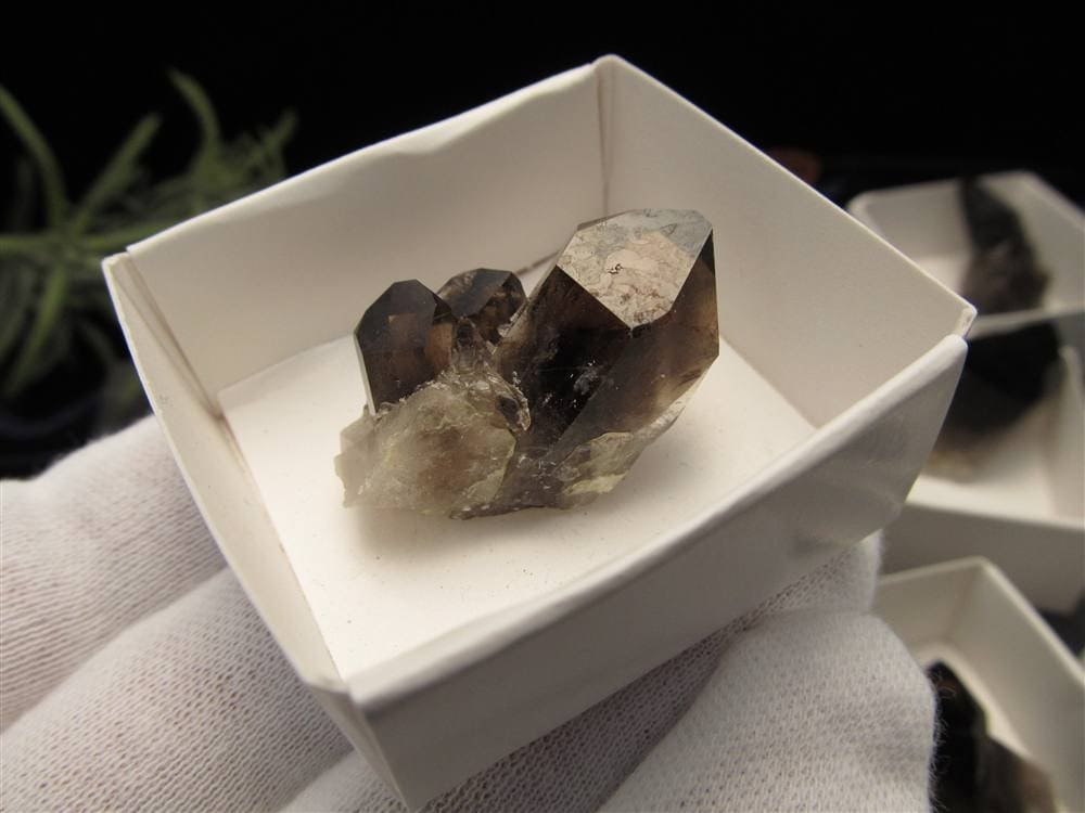 モリオン 黒水晶 アーカンソー州産 原石 黒水晶クラスター