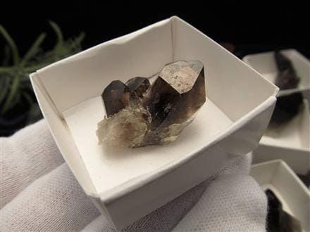 モリオン 黒水晶 アーカンソー州産 原石 黒水晶クラスター
