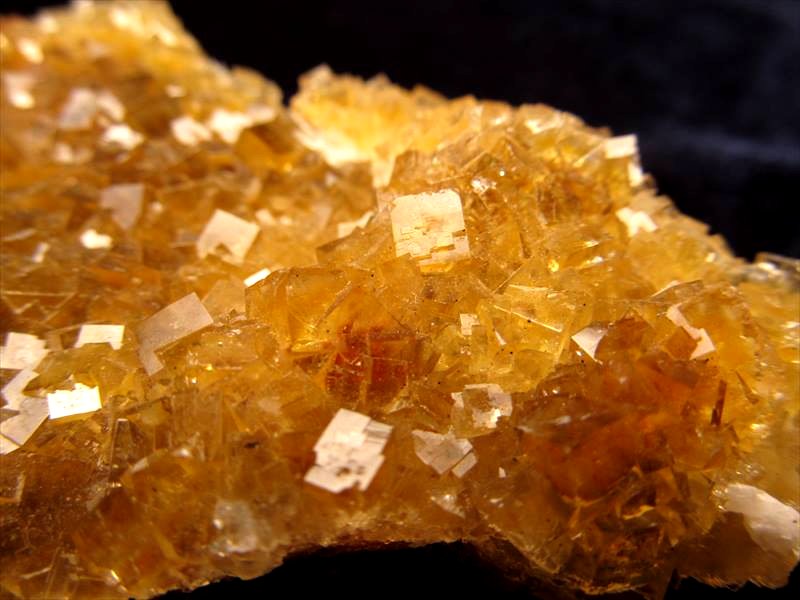 ◇ドイツ・ミュンヘン展示会商品◇1点物◇スペイン産フロー