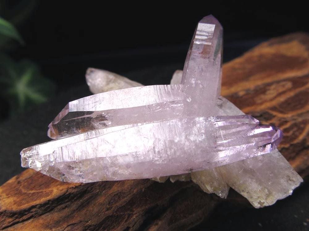 アメジスト ベラクルスアメジスト 結晶 原石 ツーソン