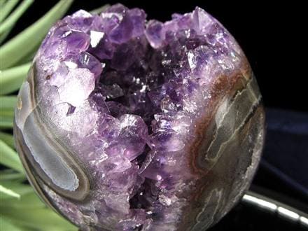 笑福 縁起物 笑口 アメジスト 丸玉 スフィア