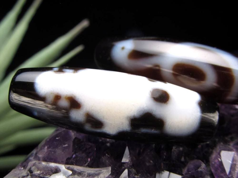 三面大黒天 白蛇 至純天珠 天珠 天珠卸 てんじゅ