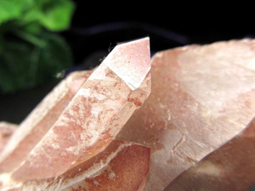 レムリアン レムリアンシード レムリアンシードクリスタル レコードキーパー レムリアンリッジ