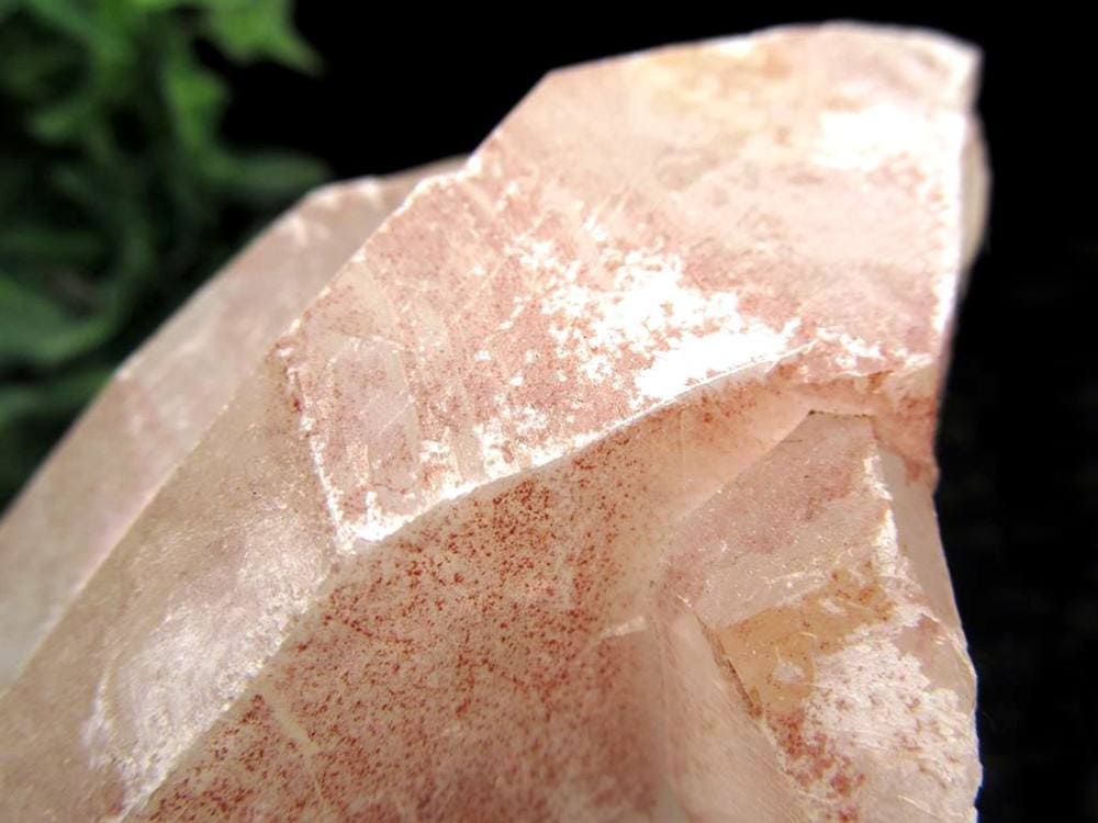 レムリアン レムリアンシード レムリアンシードクリスタル レコードキーパー レムリアンリッジ