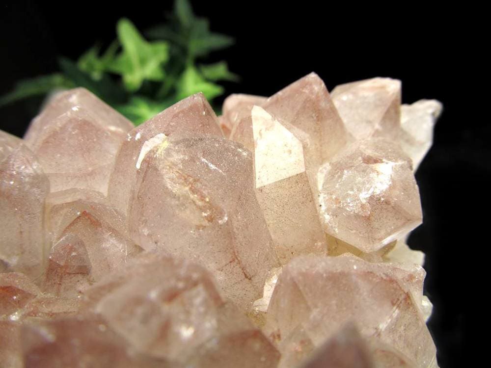 レムリアン レムリアンシード レムリアンシードクリスタル レコードキーパー レムリアンリッジ