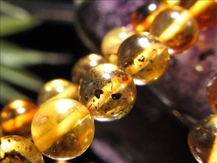 アンバー 琥珀 バルティックアンバー ビーズ連 連材