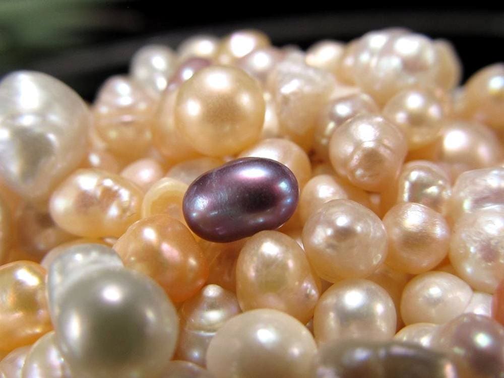 細石 さざれ 淡水パール パール 真珠