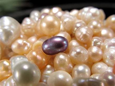 細石 さざれ 淡水パール パール 真珠