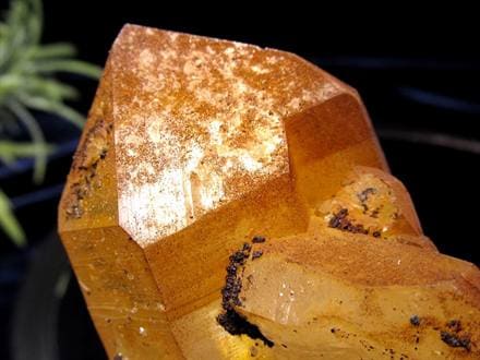 天然ゴールデンヒーラー クラスター 天然オーラフレイム ヒーリングストーン アーカンソー州産