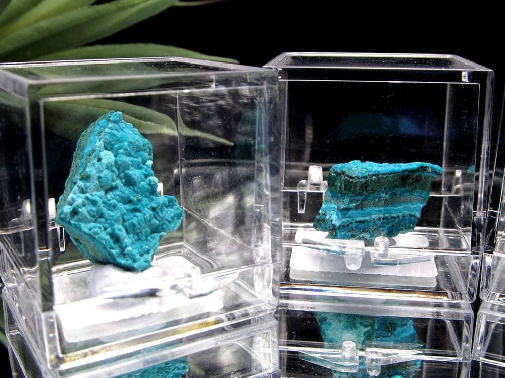 ミニチュア原石 コレクション原石 クリソコラ 珪孔雀石 CHRYSOCOLLA