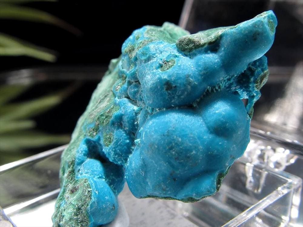 ミニチュア原石 コレクション原石 クリソコラ 珪孔雀石 CHRYSOCOLLA